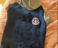 dog hoodie