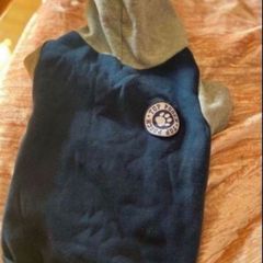 dog hoodie