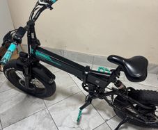 Fiido M1 Pro