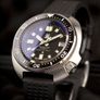 Tactical Frog (Seiko Willard homage) Image 4