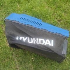 free lawnmower bag