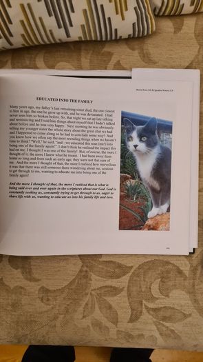 Stories From Life By Ignatius Waters. C. P. Beautiful Illustrated Large Volume Hardback With Dustjacket In Very Good Condition.make Lovely Christmas Present. 34.