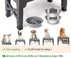 Dog bowl