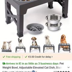 Dog bowl