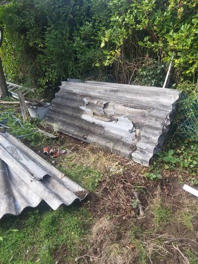 Asbestos Removal & Disposal Services