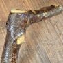Blackthorn walking sticks Image 8