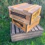 Vintage John Locke Kilbeggan Whiskey Crates 125 each Image 5