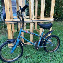 Vintage Raleigh Boxer BMX Blue