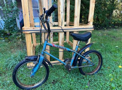 Vintage Raleigh Boxer BMX Blue