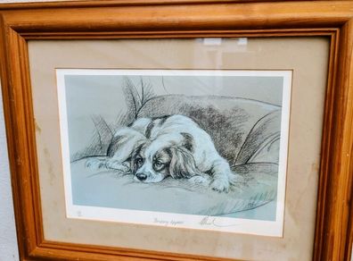 photos