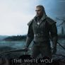 Witcher Gearalt 1/6 (Hot Toys scale) Image 6