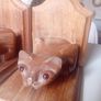 Vintage Prowling Cat Hardwood Bookends Image 4
