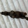 Schleich 2001 Rhinoceros Rhino Retired Wild Animal Figurine The horn is damaged Used Please look at the pictures Image 7