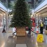 17ft Commercial Christmas tree Image 4