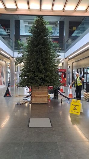 17ft Commercial Christmas tree