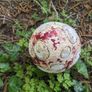 Fairy garden cement ornaments Image 7