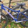 Bikes Image 6