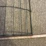 Bird Cage Decoration/ Hanger Image 4