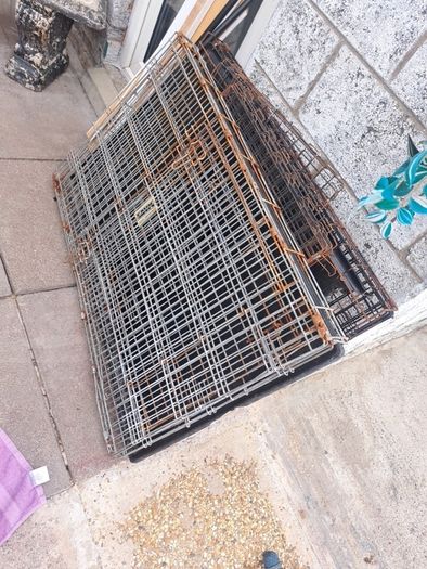 used dog cages