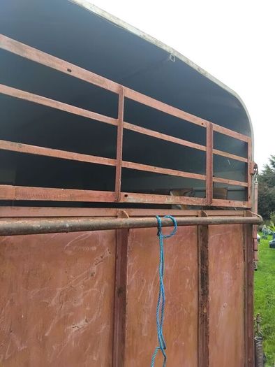 horse box open to offers sound box double treated floor no rot this box has perfect Strong sides will do cattle either make brilliant coffee box