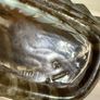 CHRISTIAN DIOR Vintage 1960's Rare Dioressence Eau De Toilette Spray 100ml! Image 8