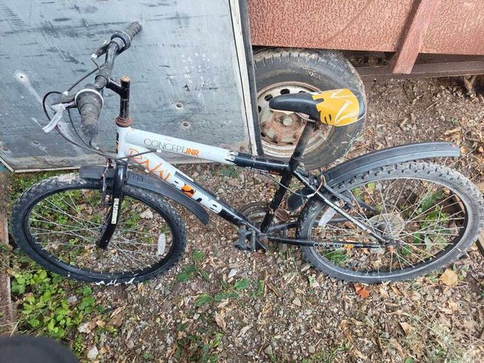 boys and ladies bike