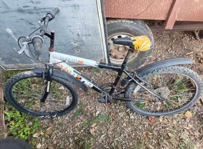 boys and ladies bike
