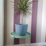 Mint Green Side Table/ Plant Stand Image 3