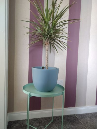 Mint Green Side Table/ Plant Stand