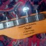 Squier FSR CV '50s Esquire 2019 Vintage White(with upgrades) Image 8