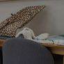 Dining Chairs Image 4