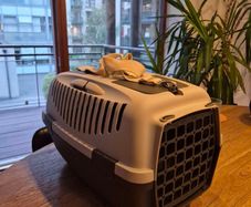 Pet kennel (hard shell)