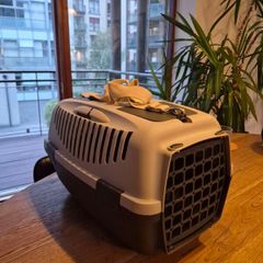 Pet kennel (hard shell)
