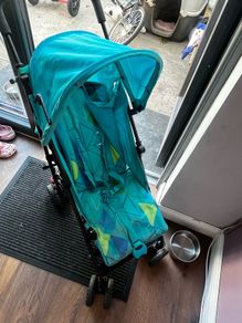 Travel Buggy