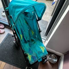 Travel Buggy