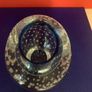 Waterford Art Crystal By Evolution Image 5