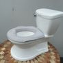 Summer training potty Image 2