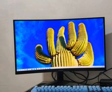 Monitor