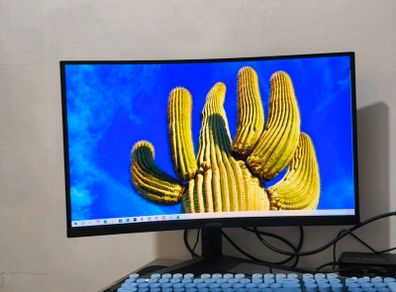 Monitor