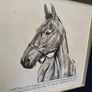 Arkle Framed Drawing/Print Image 5