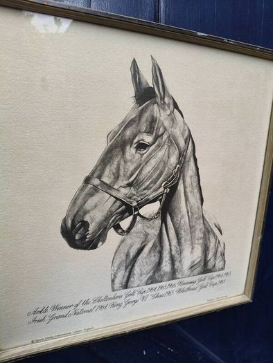 Arkle Framed Drawing/Print