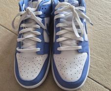 Nike Dunk Low Polar Blue - Size UK 9 Brand New!!