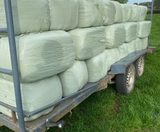 Haylage/hay/straw