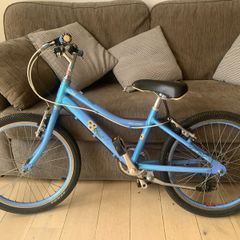 Raleigh Kids Bike