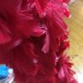 fur Image 5