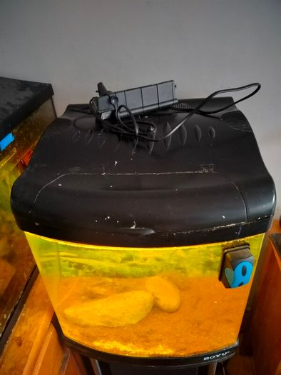 80ltr Boyu Tank and Stand