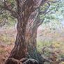 oil painting by Maura Jones forest landscape Image 3