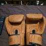 Fairtex BGV-21(Brand New) Image 2