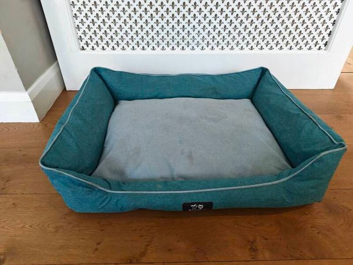 dog bed