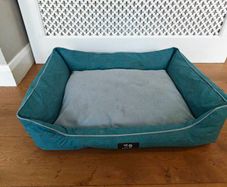 dog bed